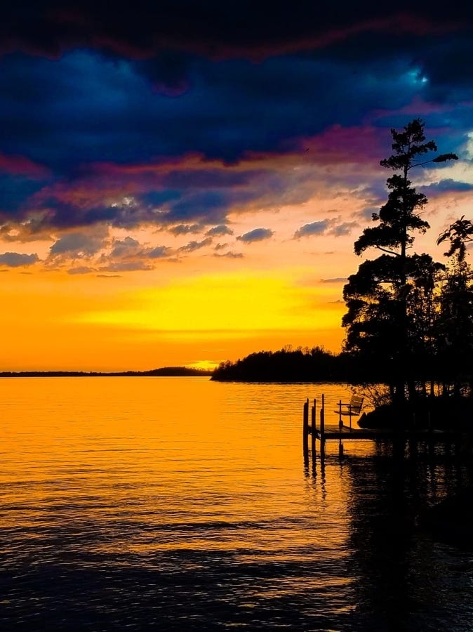 Introduction to “The Shoehorn” The Shoehorn Medium