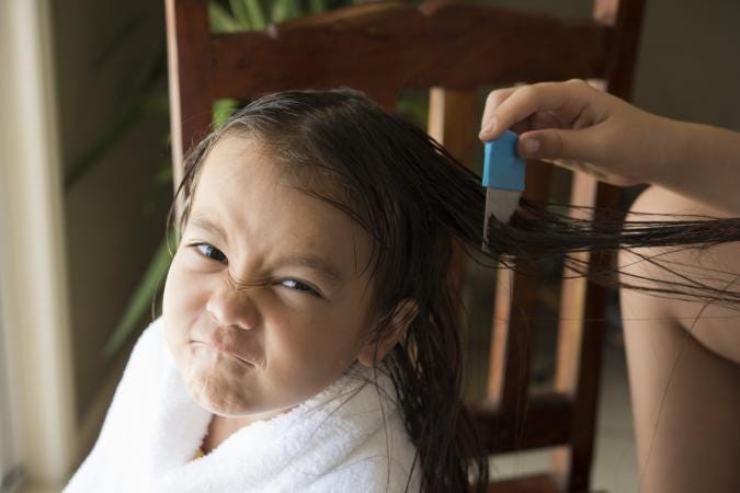Complete Hair Lice Will Be Removed At Never Lice Never Lice Medium