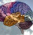 The Raspy Brain Productions