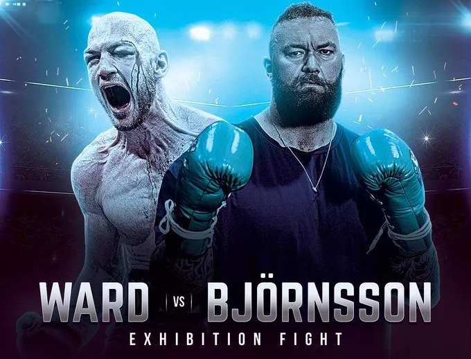 Download Boxer Internet Tv Gif
