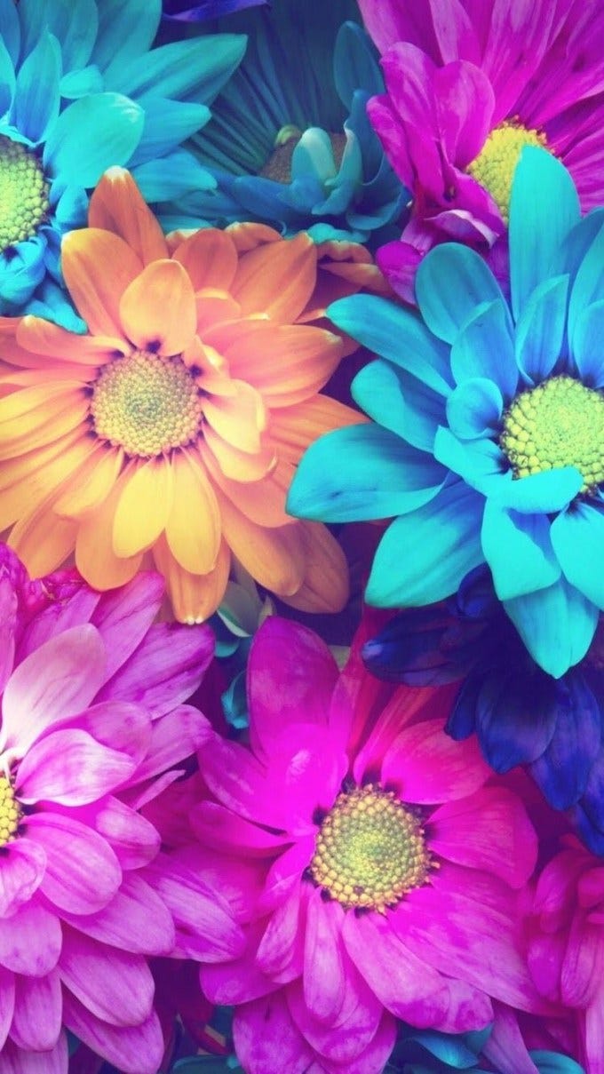 カラフルな花 By Iphone Wallpaper Medium