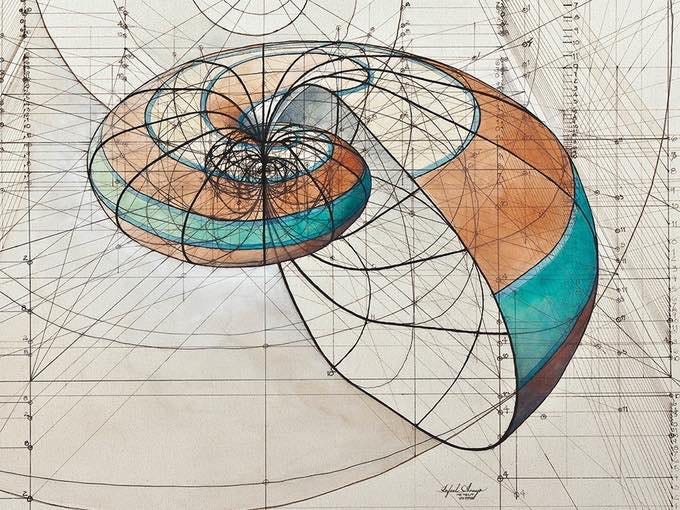La Sezione Aurea Umana Interferenze Quotidiane Medium