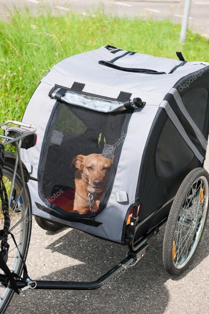 burley tail wagon 2019