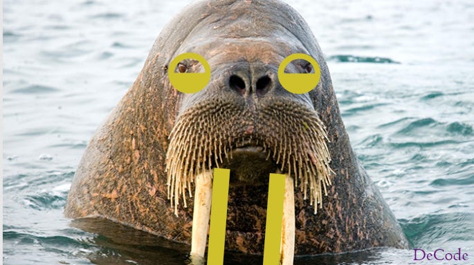 “Walrus” Operator Python 3.8.0. “Walrus” Operator is a python operator ...