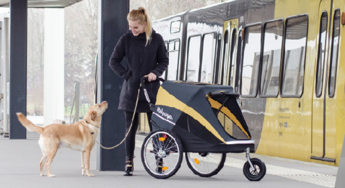 hercules heavy duty dog stroller