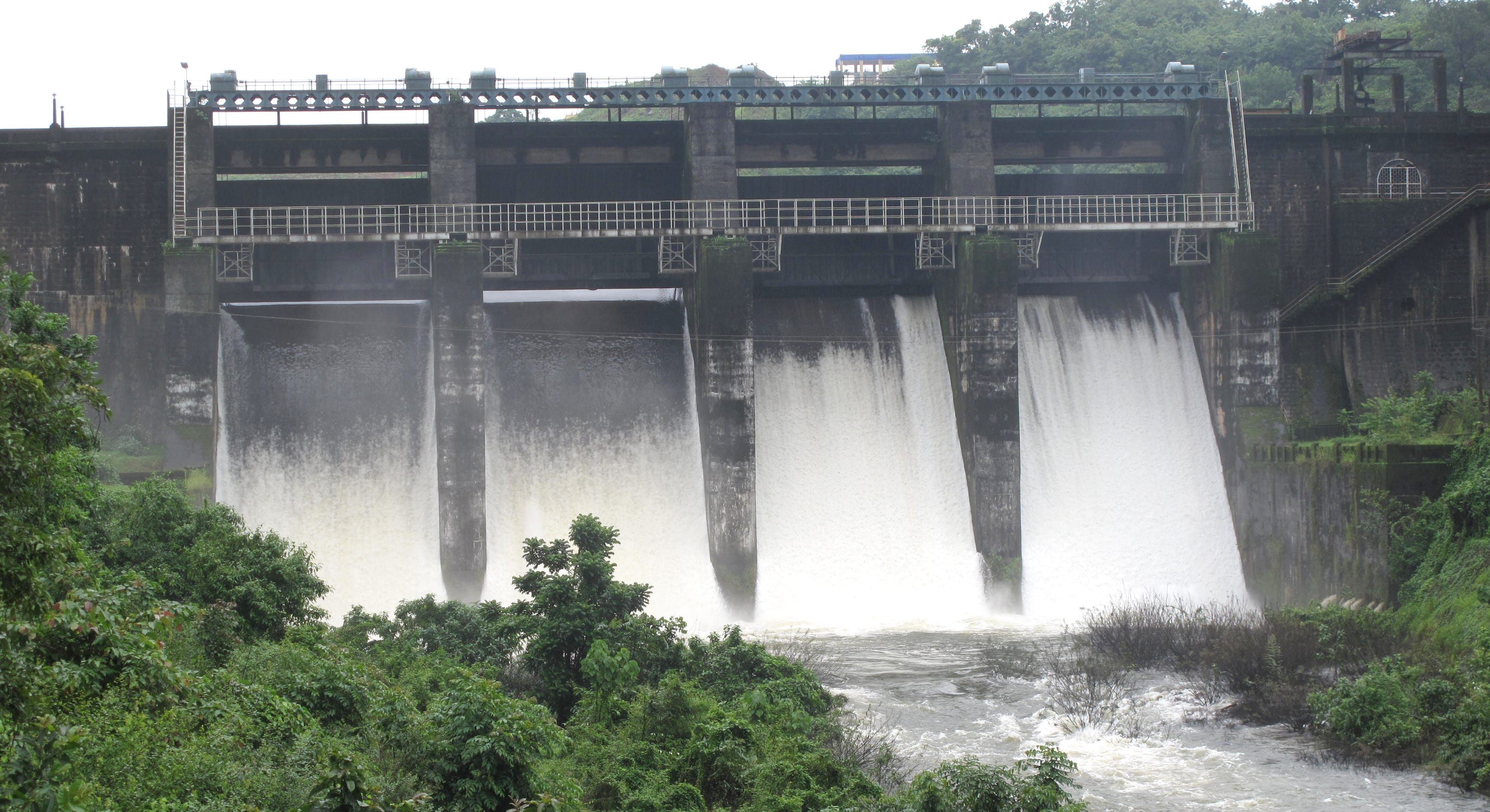 Efficient and Water Saving Irrigation Methods for 2020 by