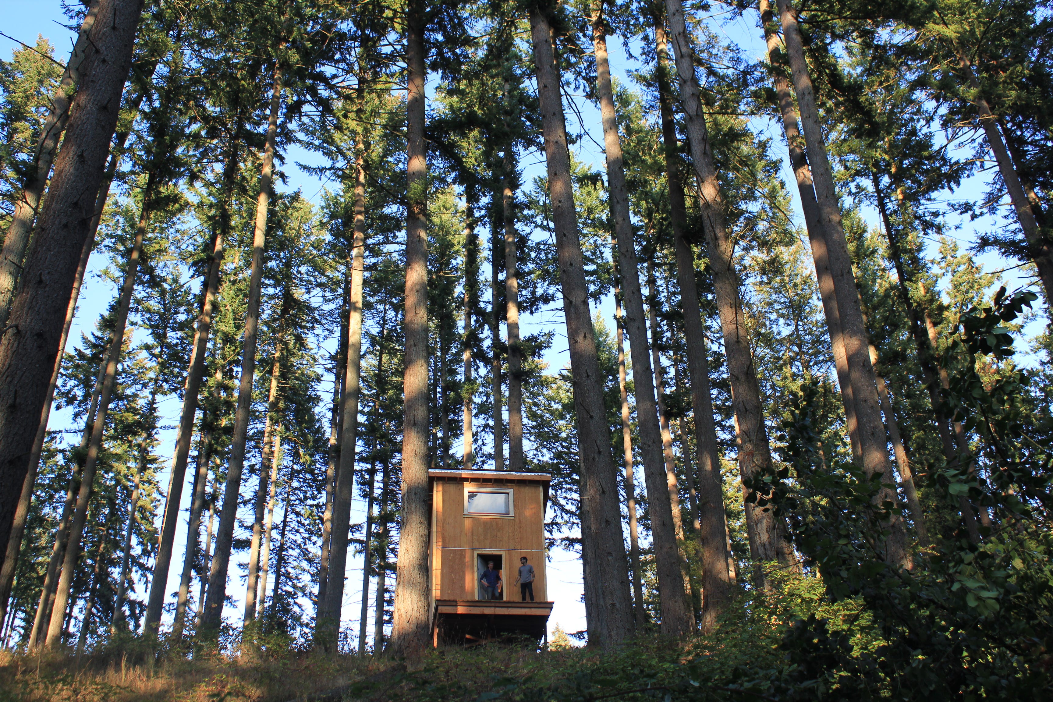 Six Day Cabin What We Learned In The Woods Aaron Flack Medium