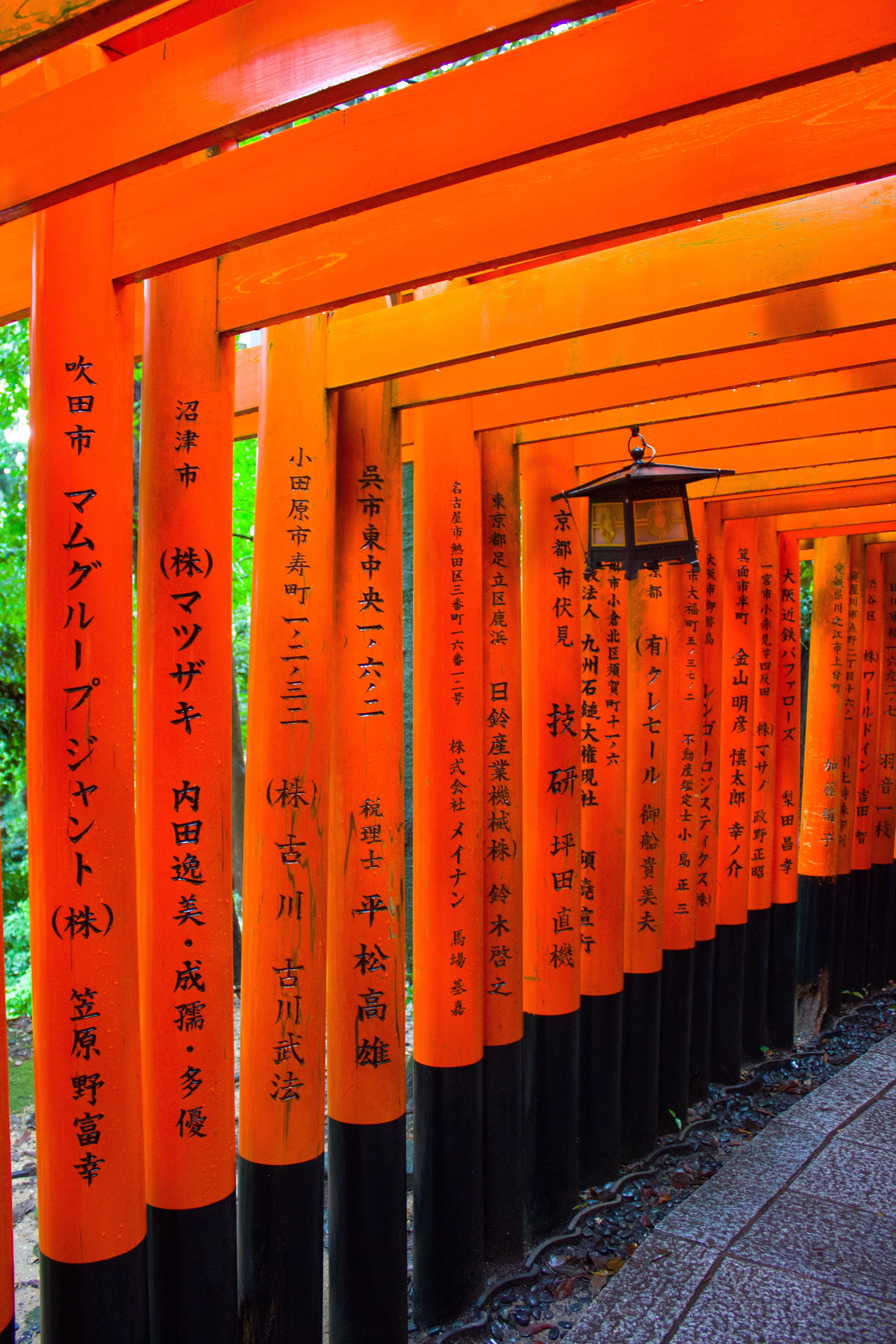 8 Days In Japan Changed My Life And It Ll Change Yours Too By Lienette Medium