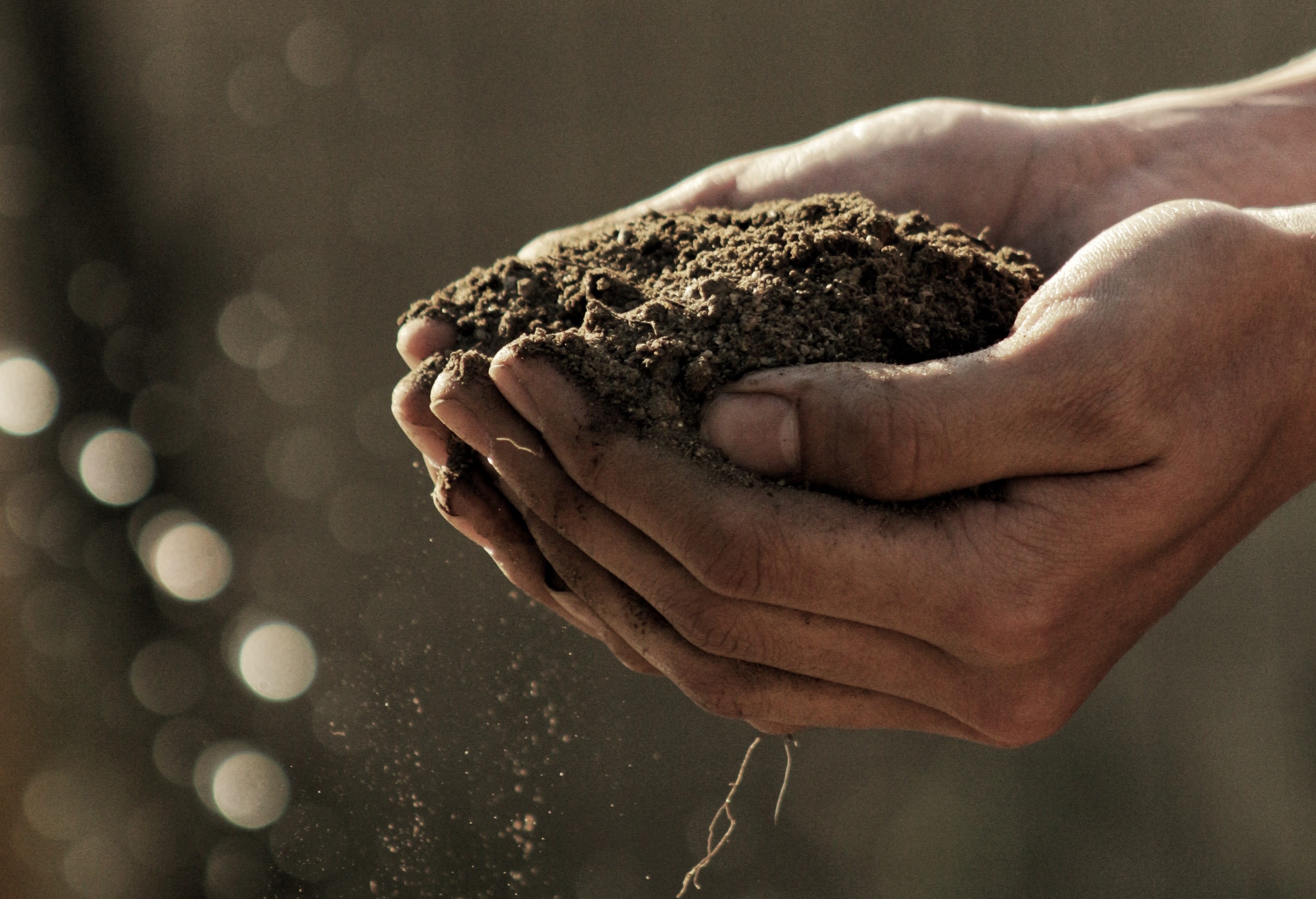 A New Website Promises To Help Rebalance Our Climate Using Dirt By Carbon180 Medium