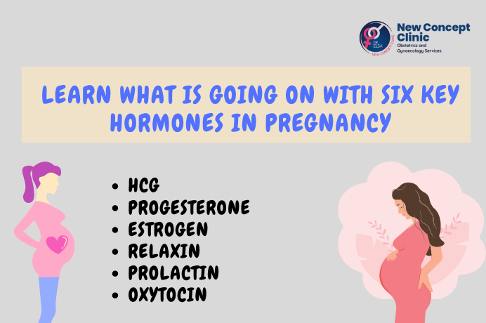 Learn What is Going on With Six Key Hormones in Pregnancy | by Drelsa Menezes | Aug, 2022 | Medium