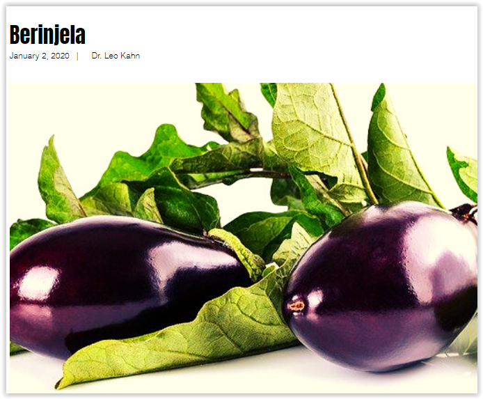 Eggplant Also Known As Aubergine Is Considered A By Dr Leo Kahn Medium