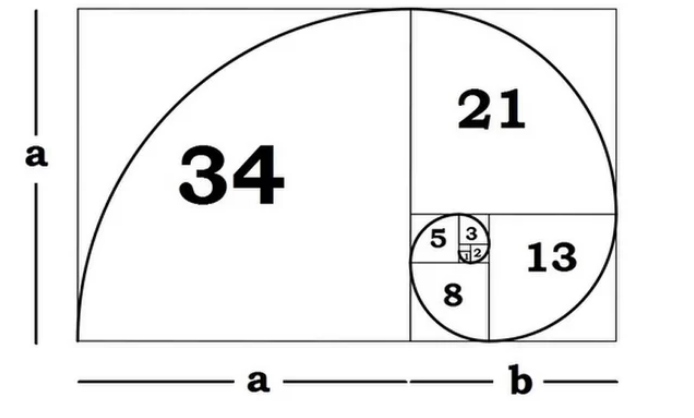 Image result for the golden ratio