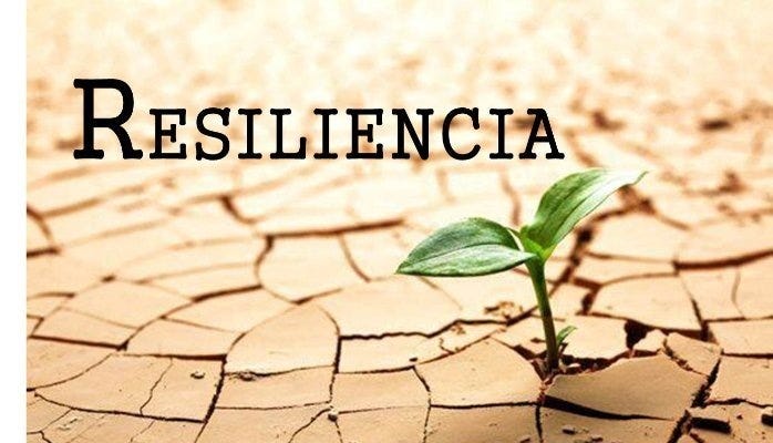 La resiliencia; una habilidad que nos de la felicidad