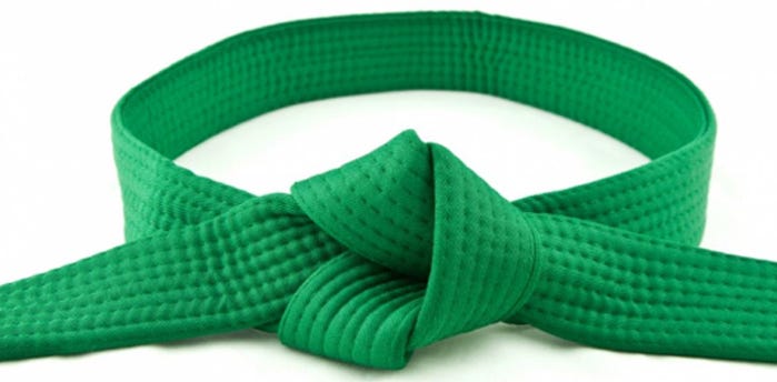 herniated disc belt