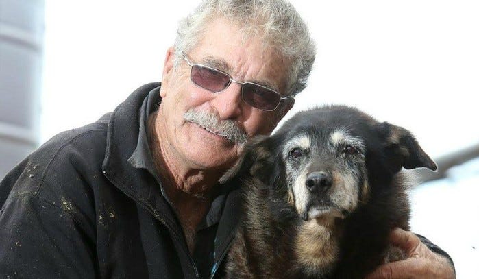 Muere el perro más viejo del mundo a los 30 años | by Fernando Bruccoleri |  Medium