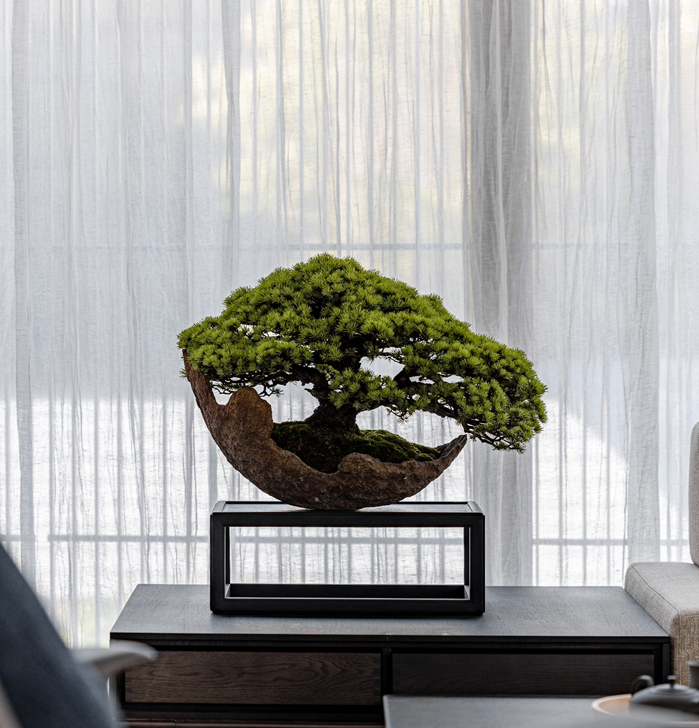 如何營造最高級的 禪 生活 家 日本盆景與家的關係 Westbank Taiwan 如何營造最高級的 禪 生活 家 日本盆景與家的關係 Westbank Taiwan