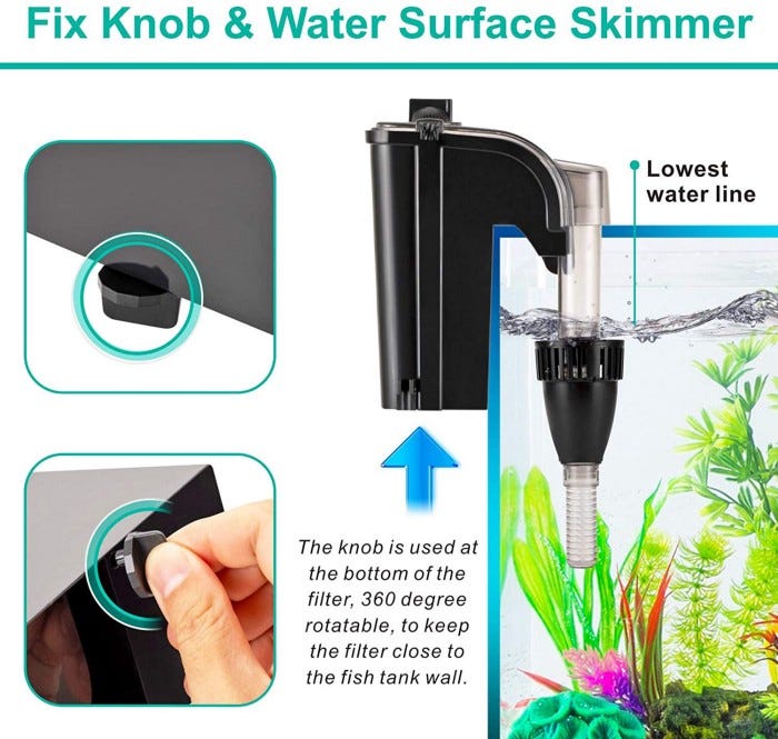 How Many Fish In A 5 Gallon Tank From How Many Fish In A 5 Gallon Tank By Terry S Aquarium Blog Jul 2021 Medium