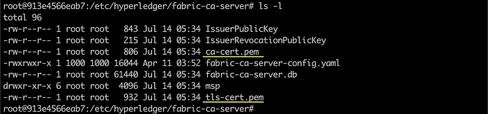 Typical Setups of Fabric CA Server 2
