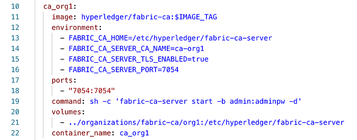 Typical Setups of Fabric CA Server 13