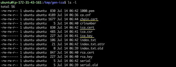 Typical Setups of Fabric CA Server 10