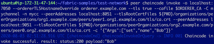 Add a Peer to an Organization in Test Network 23
