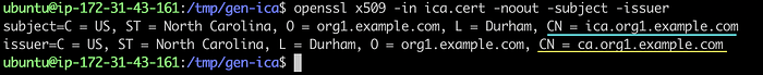 Typical Setups of Fabric CA Server 8