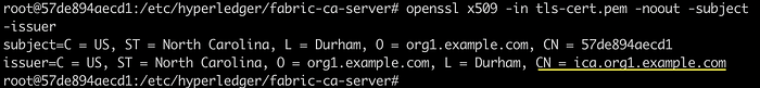 Typical Setups of Fabric CA Server 21