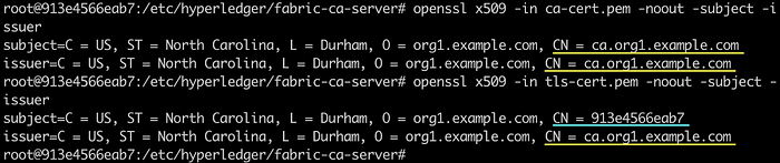Typical Setups of Fabric CA Server 3