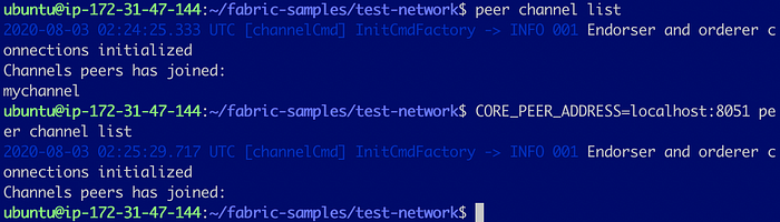 Add a Peer to an Organization in Test Network 11