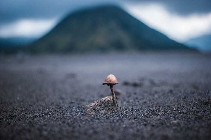 Photo by Andreas Wagner on Unsplash