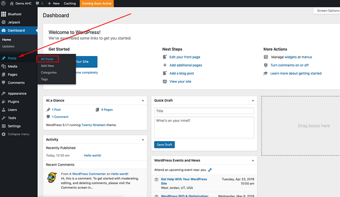 To delete the default blog post, go to Posts => All Posts: