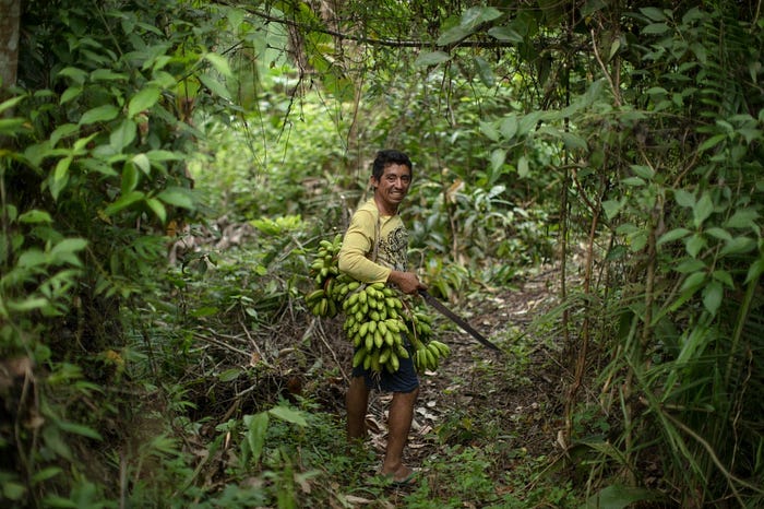 How Xingu riverside people are feeding the periphery of Altamira with forest products