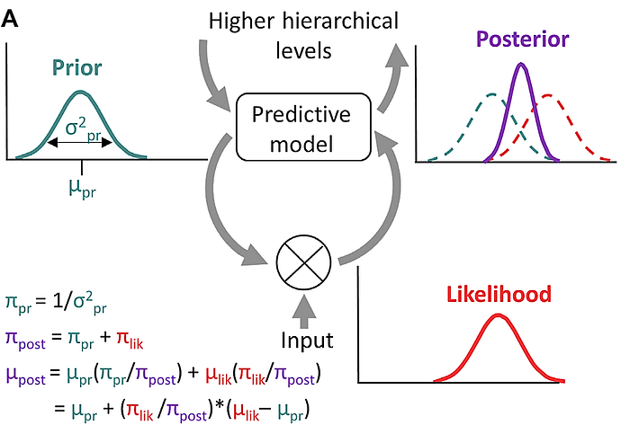The role of Predictive Coding Theory in Schizophrenia Hallucinations ...