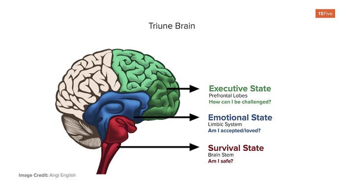 Triune Brain graphic