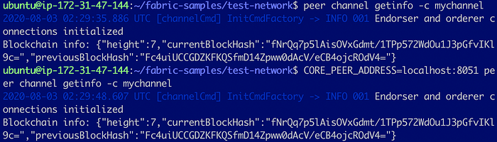 Add a Peer to an Organization in Test Network 14