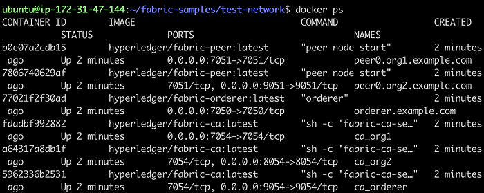 Add a Peer to an Organization in Test Network 5
