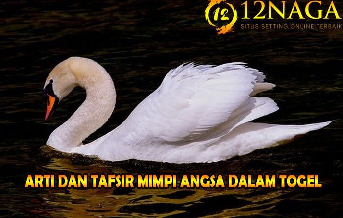 Arti Dan Tafsir Mimpi Angsa Dalam Togel By 12naga Agen Judi Online Terpercaya Medium