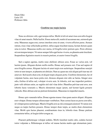 Improvement essay image