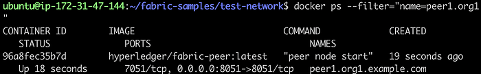 Add a Peer to an Organization in Test Network 10