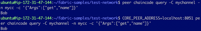 Add a Peer to an Organization in Test Network 24
