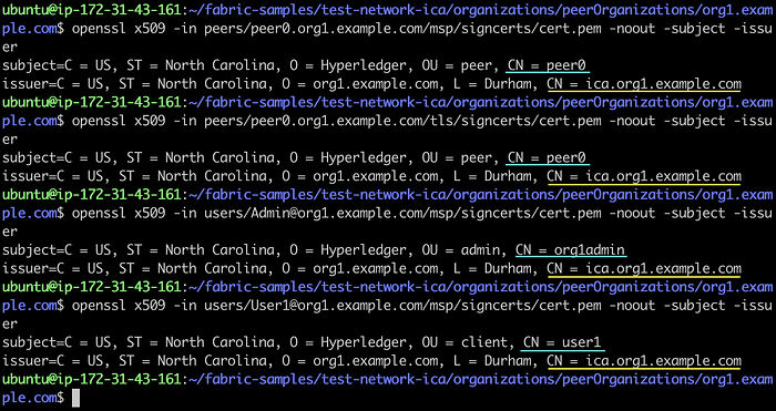 Typical Setups of Fabric CA Server 22