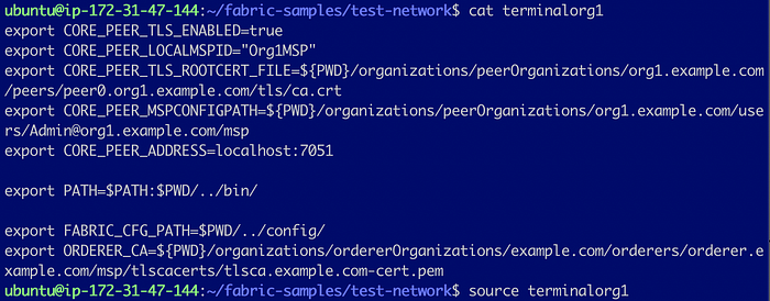 Add a Peer to an Organization in Test Network 3