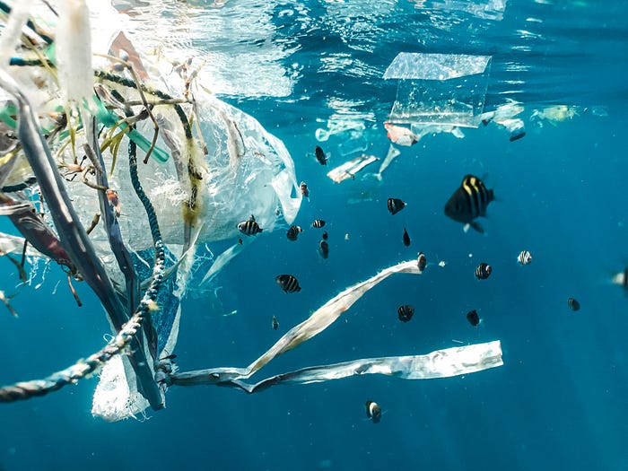 plastic rubbish floating in the ocean among fish
