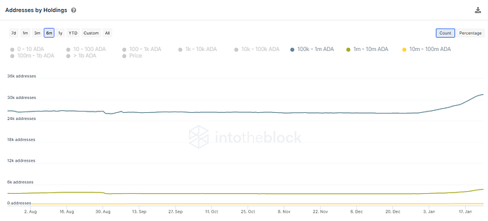 Cardano addresses by holdings