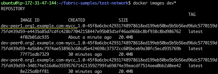 Add a Peer to an Organization in Test Network 20