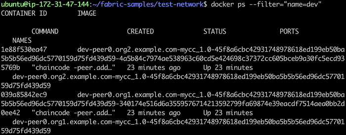 Add a Peer to an Organization in Test Network 17