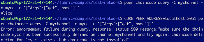 Add a Peer to an Organization in Test Network 16