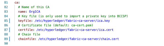 Typical Setups of Fabric CA Server 15