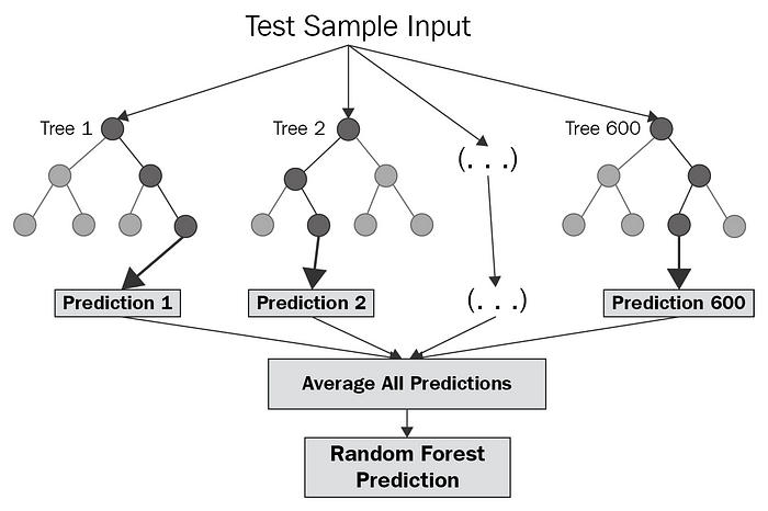 Random Forest Structure