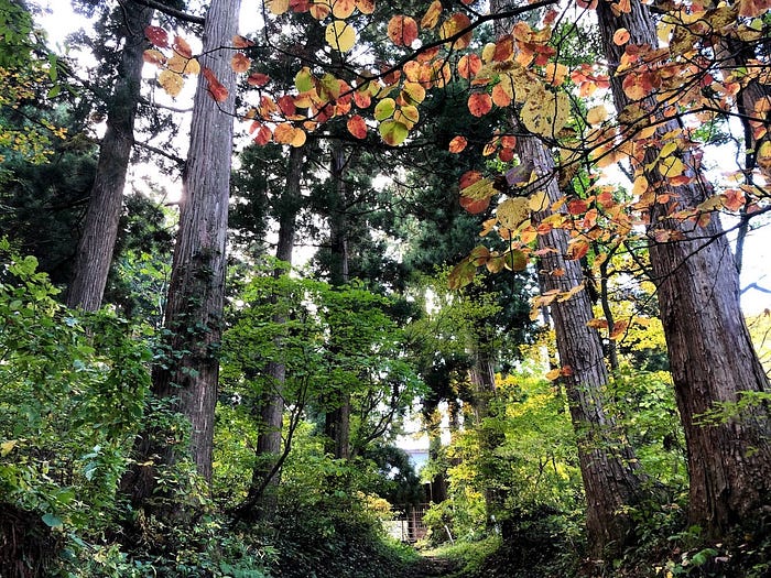 The shrine gates to Mt. Kinbo shrine in Tsuruoka City on Mt. Kinbo, one of the 100 Famous Mountains of Yamagata